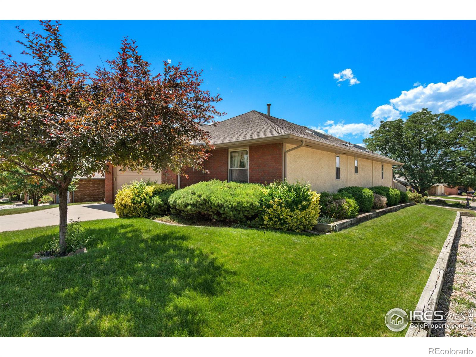 CMA Image for 155  baylor way,Longmont, Colorado