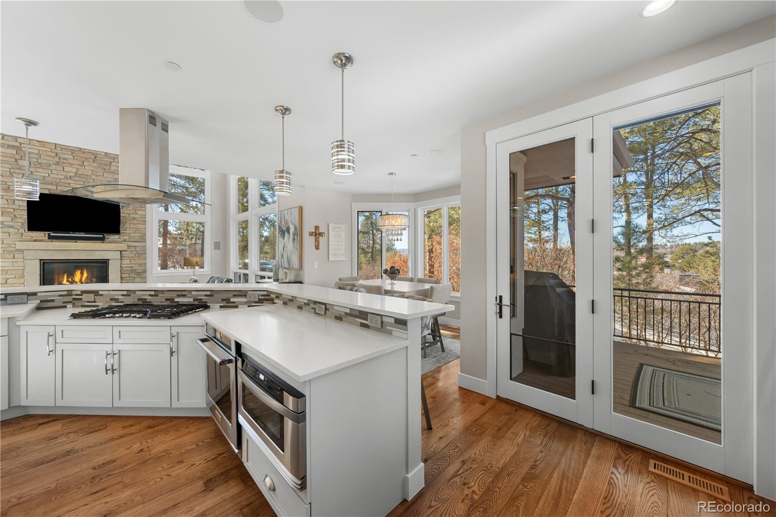 MLS Image #10 for 967  country club parkway,castle rock, Colorado