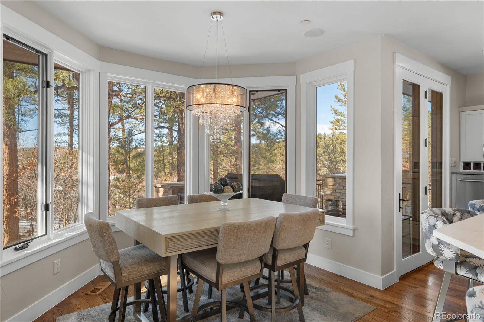 MLS Image #12 for 967  country club parkway,castle rock, Colorado
