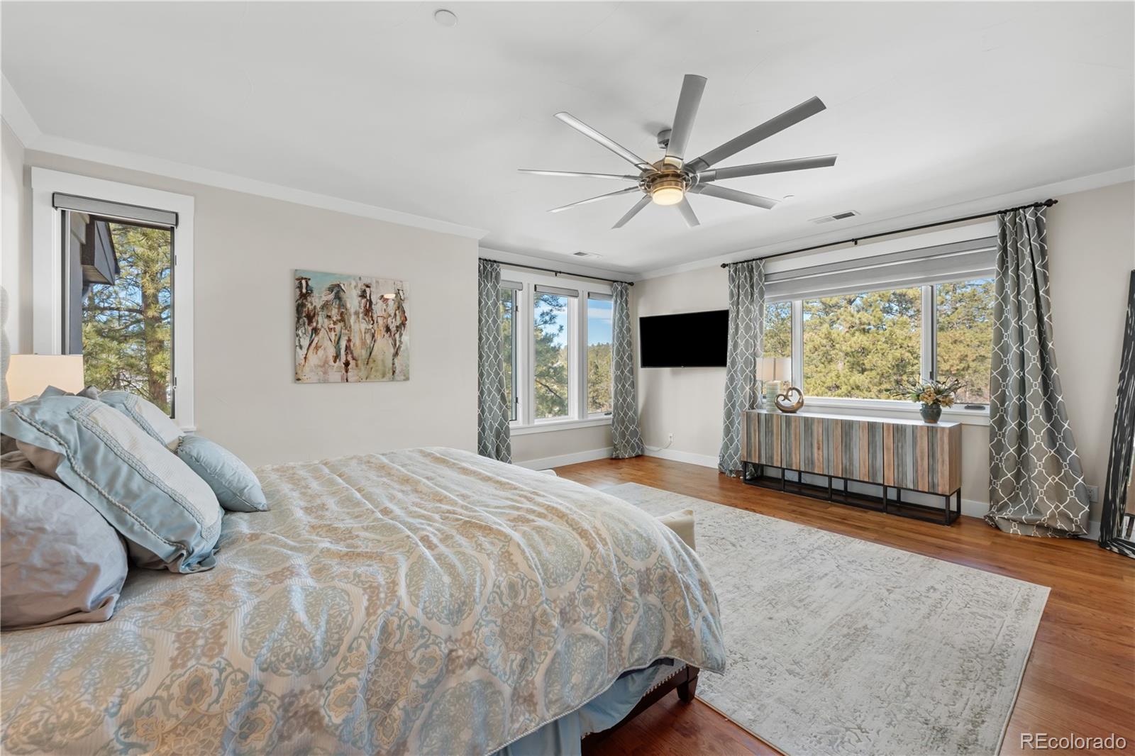 MLS Image #15 for 967  country club parkway,castle rock, Colorado