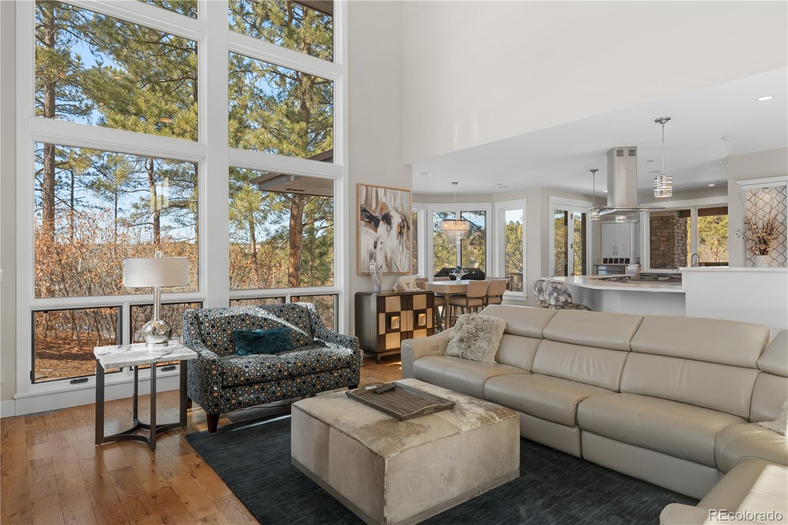 MLS Image #8 for 967  country club parkway,castle rock, Colorado