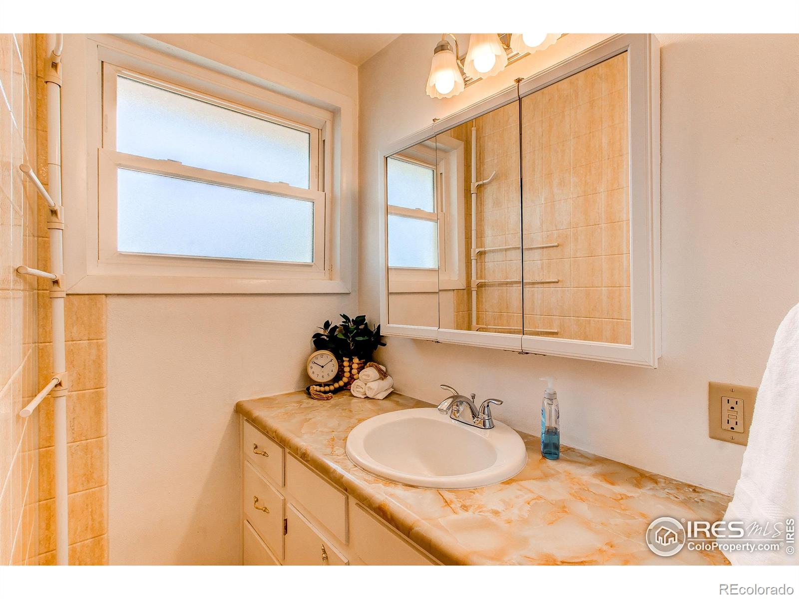 MLS Image #18 for 1325  gard place,loveland, Colorado