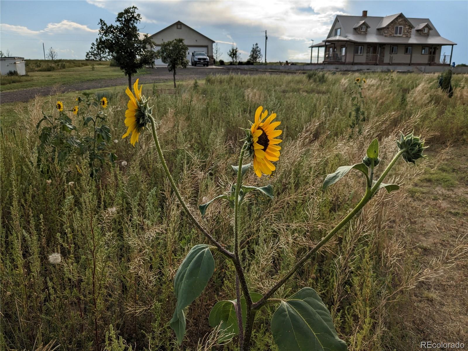 MLS Image #44 for 42626  county road 3n ,arriba, Colorado