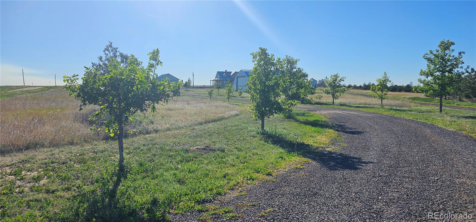 MLS Image #8 for 42626  county road 3n ,arriba, Colorado