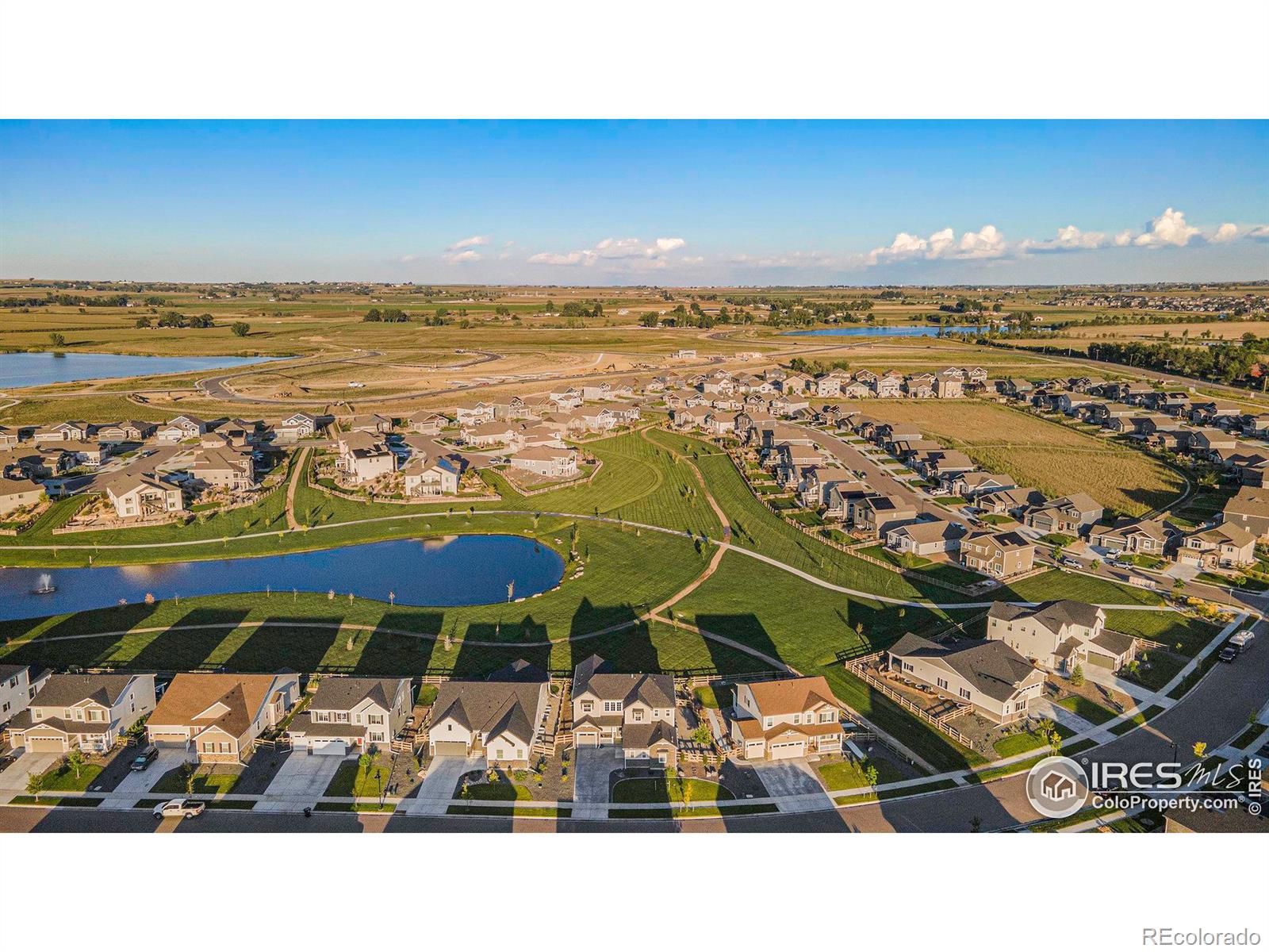 Report Image for 1384  Wolfhound Street,Timnath, Colorado