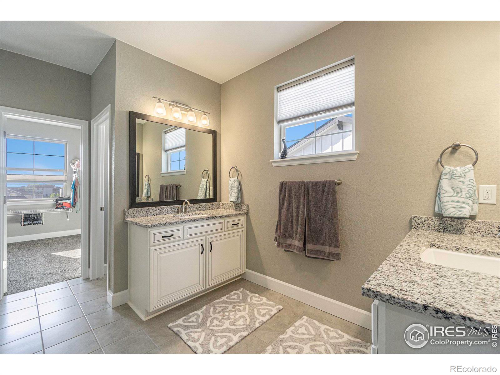 MLS Image #14 for 1384  wolfhound street,timnath, Colorado