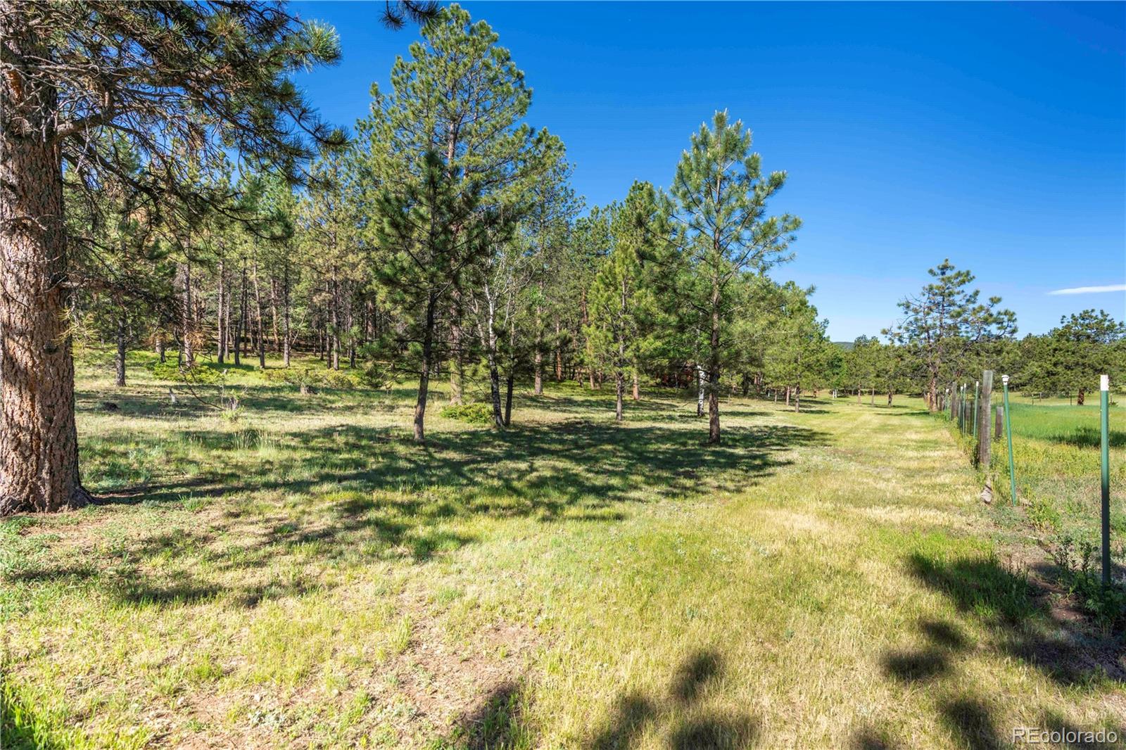 MLS Image #48 for 33973  iroquois trail,pine, Colorado