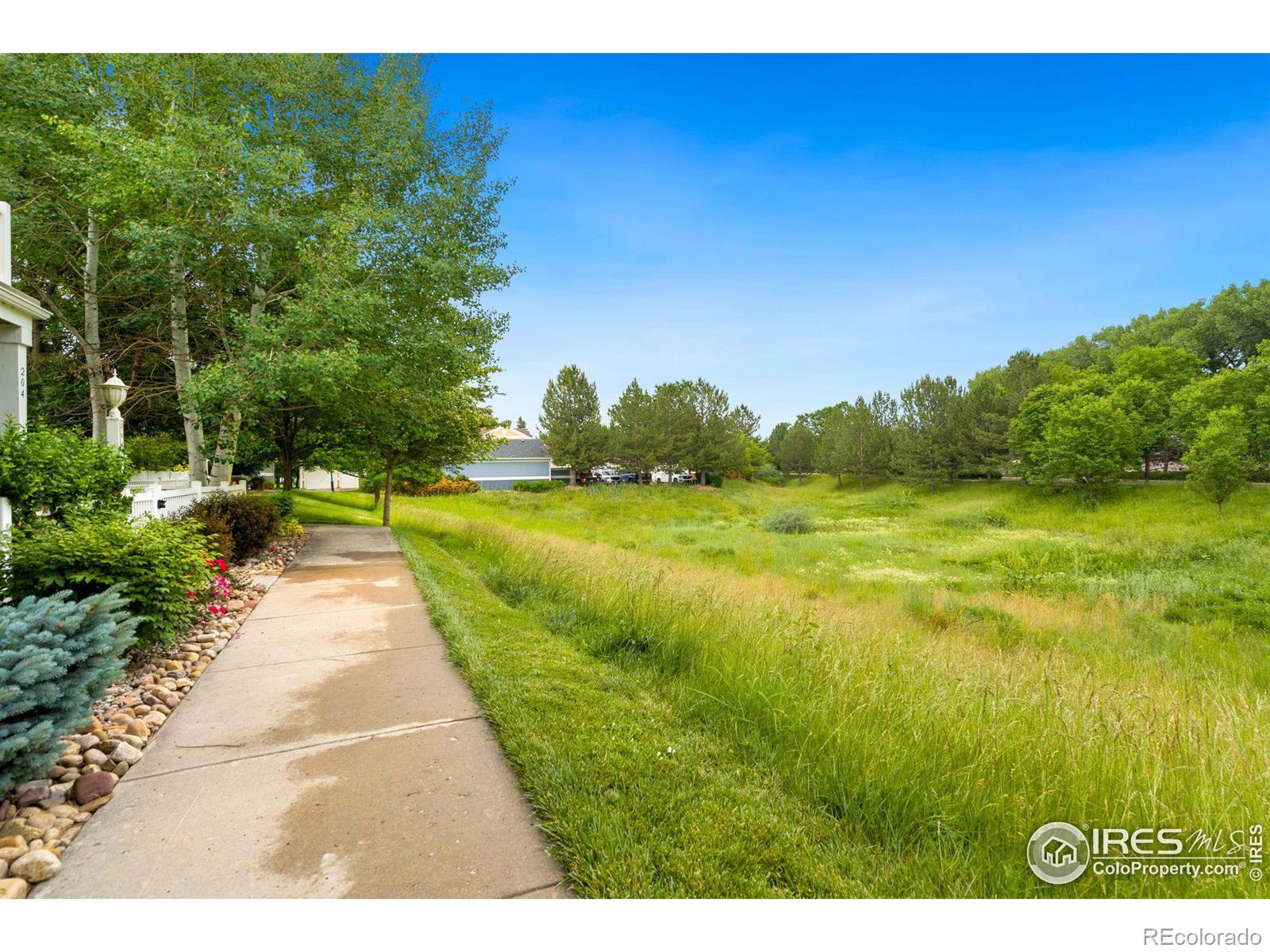 MLS Image #15 for 1837  grays peak drive,loveland, Colorado