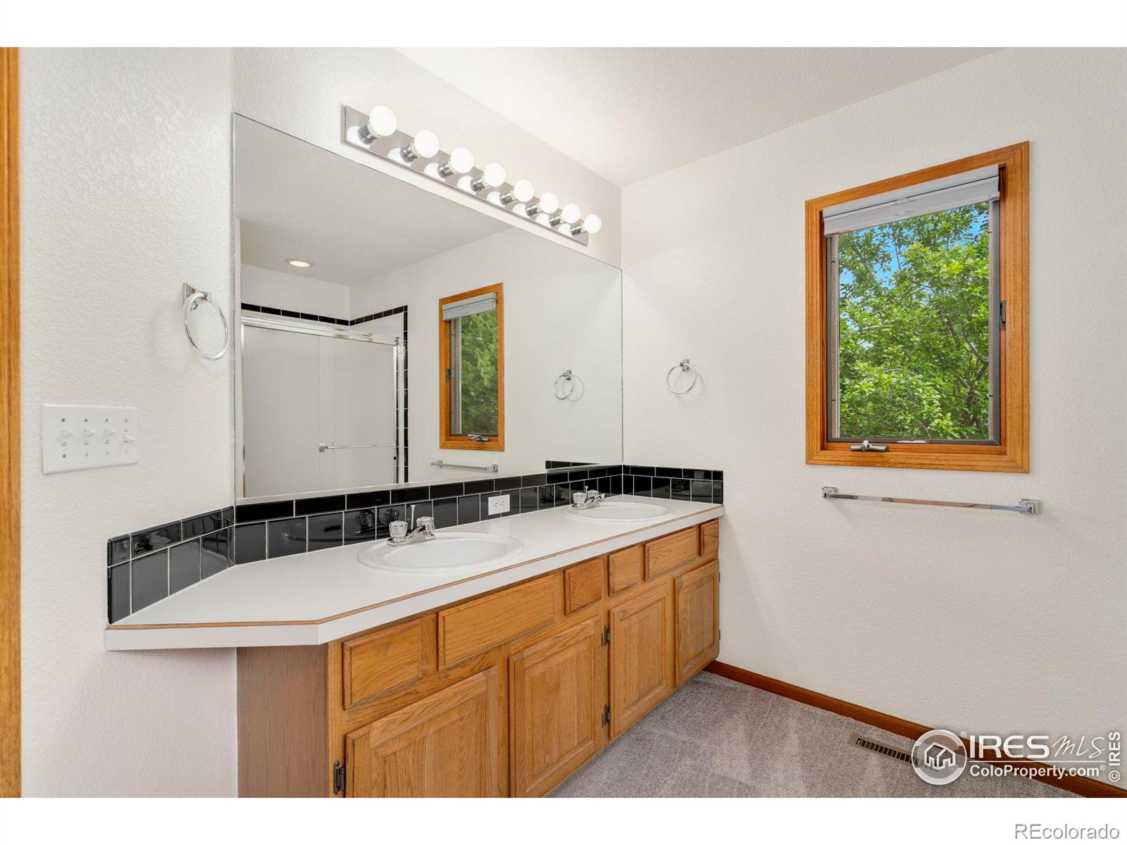 MLS Image #12 for 2904  zendt drive,fort collins, Colorado