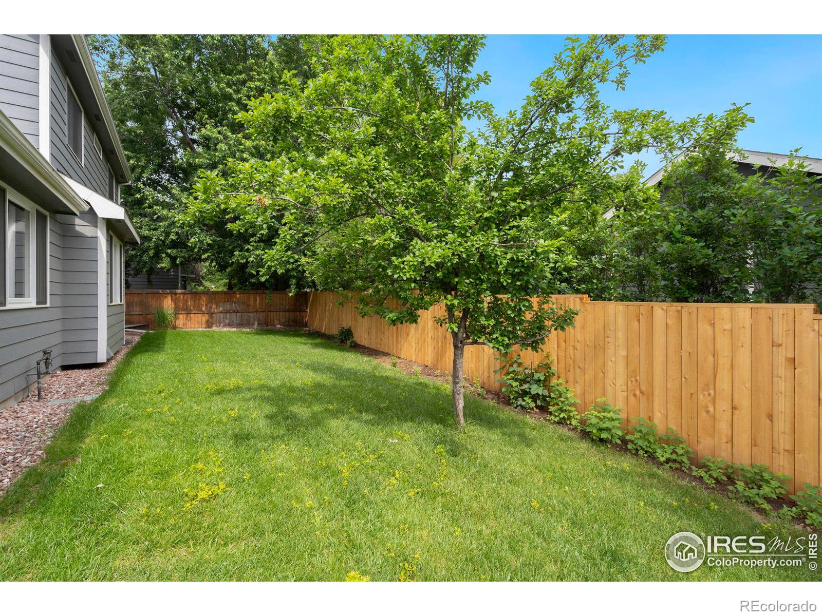 MLS Image #26 for 2904  zendt drive,fort collins, Colorado