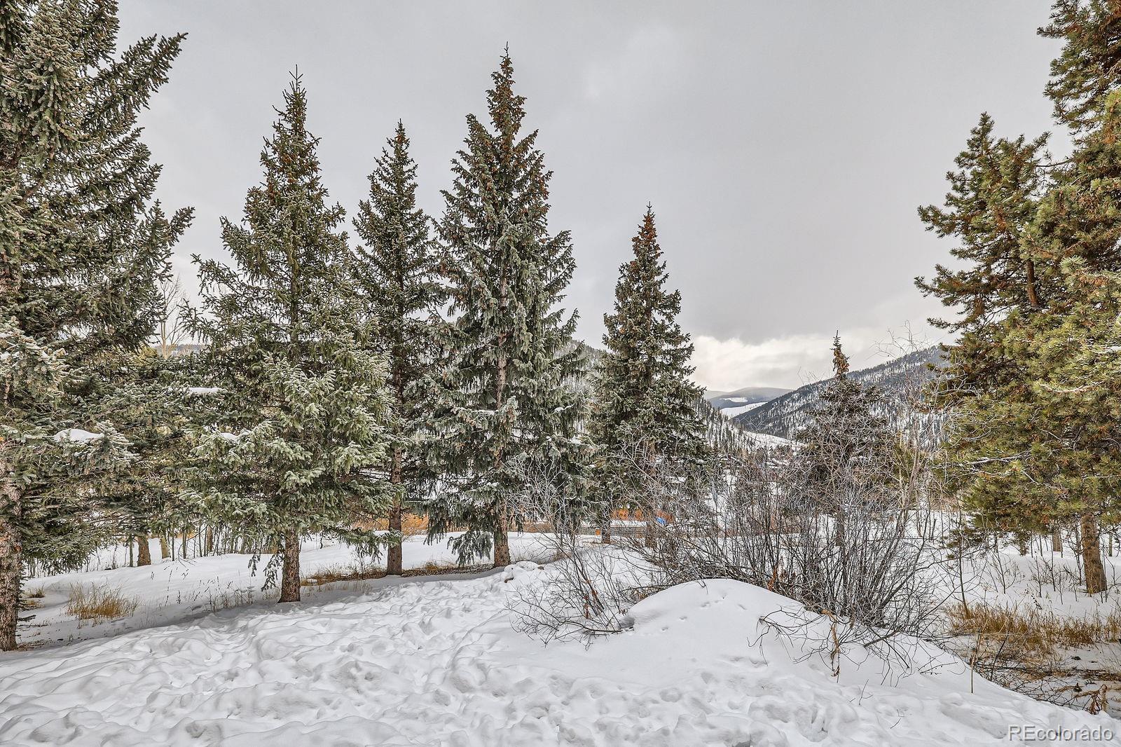 MLS Image #41 for 440  tennis club road,dillon, Colorado