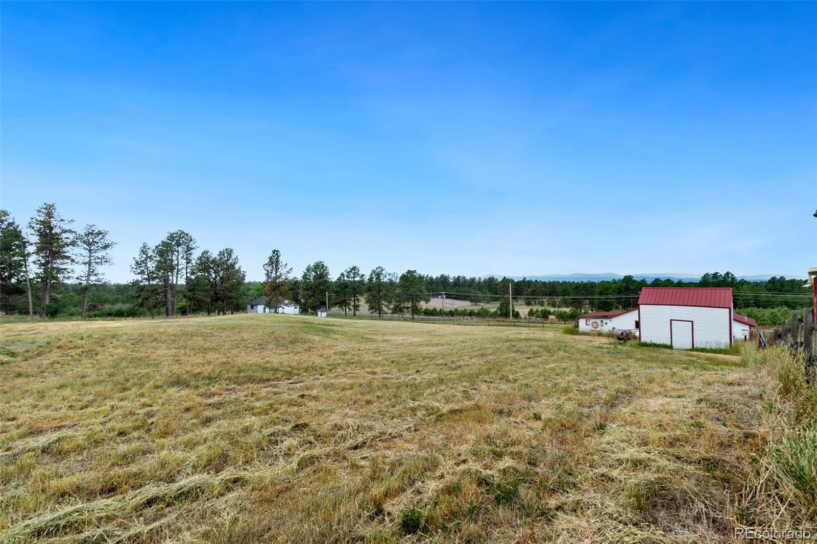 MLS Image #7 for 5846  flintwood road,parker, Colorado