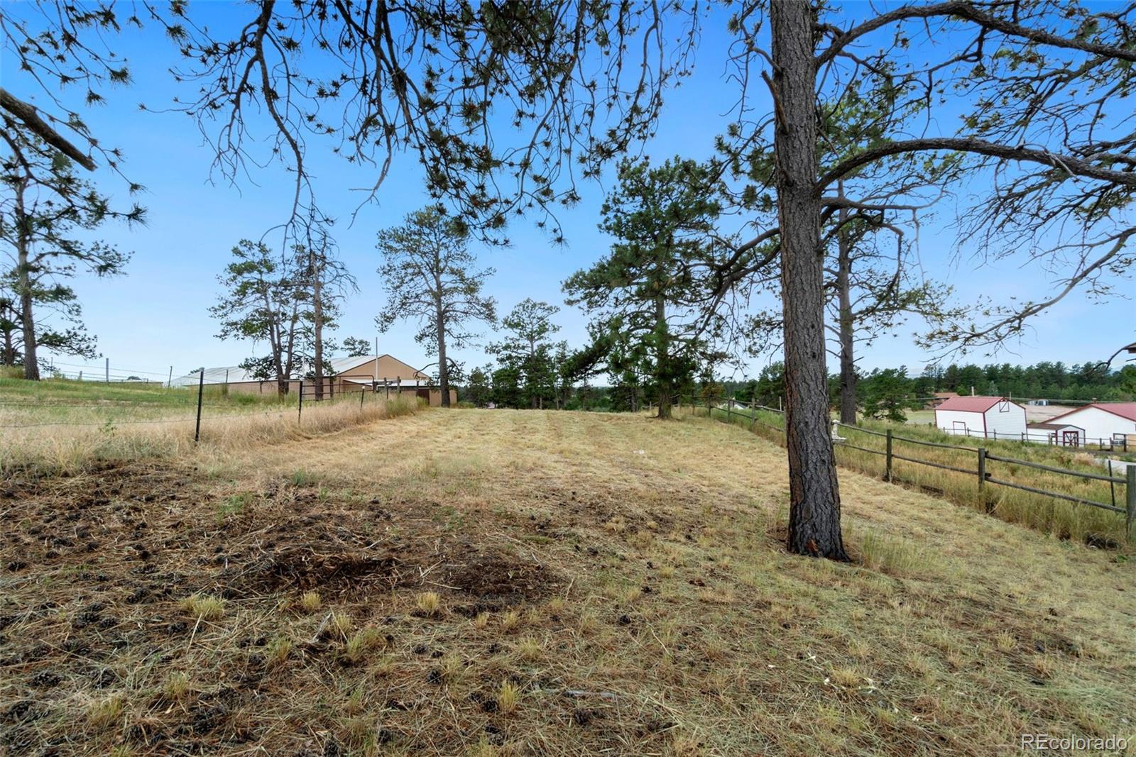 MLS Image #9 for 5846  flintwood road,parker, Colorado