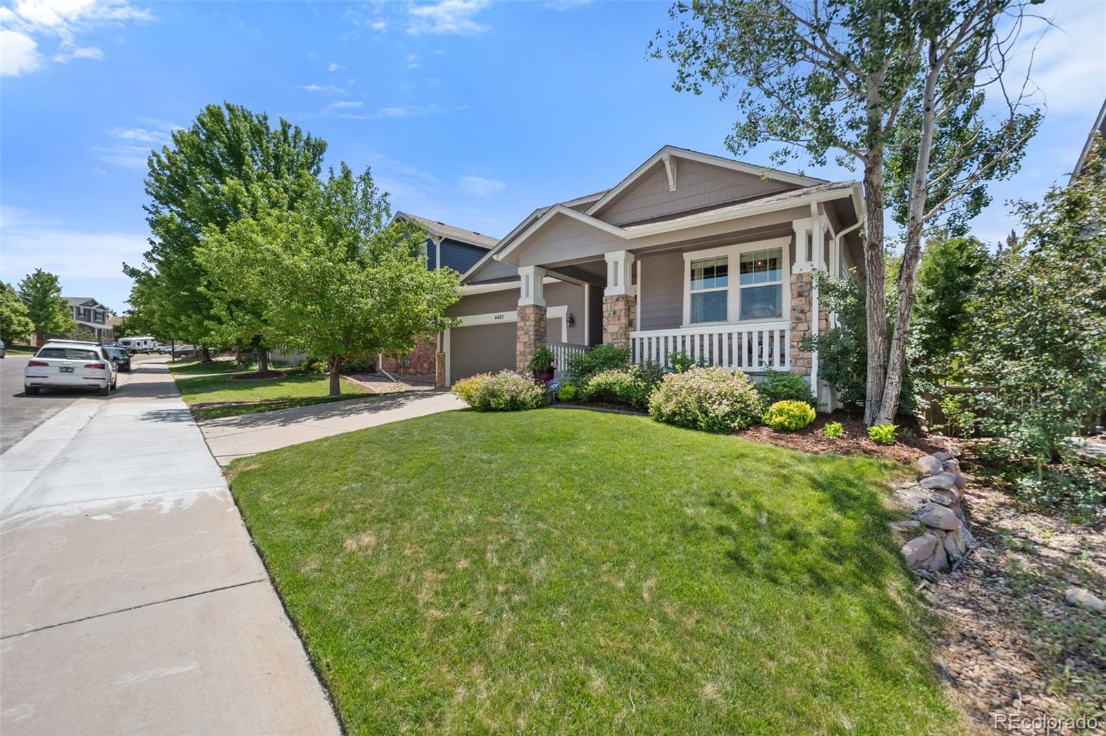 MLS Image #2 for 4482  prairie rose circle,castle rock, Colorado