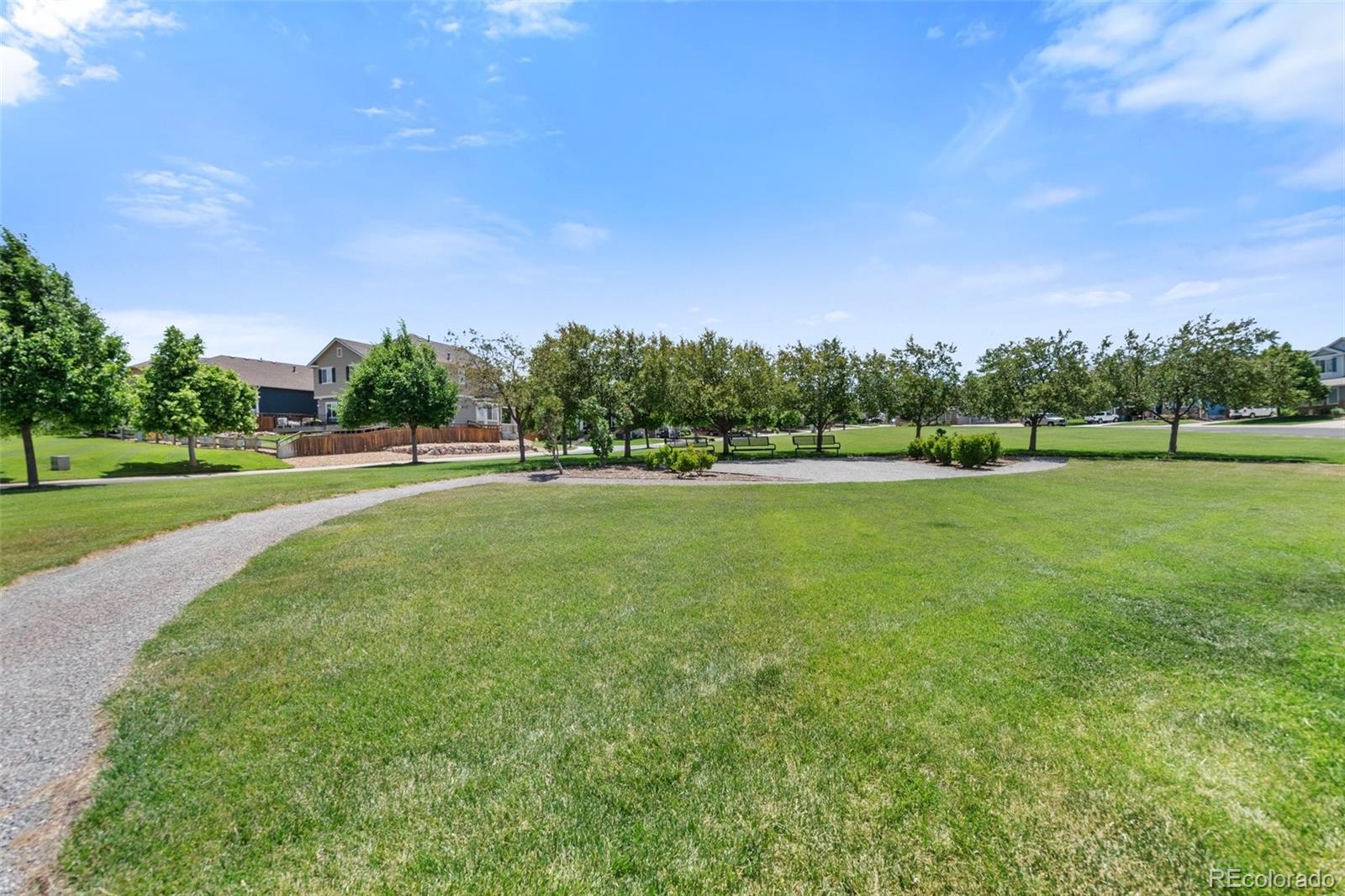 MLS Image #40 for 4482  prairie rose circle,castle rock, Colorado