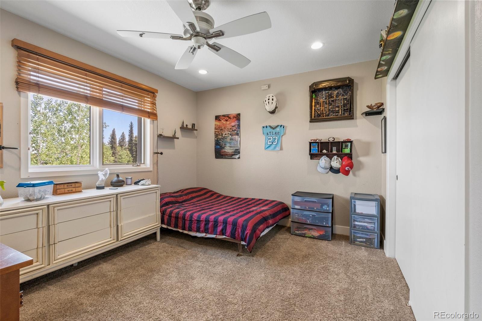 MLS Image #23 for 1682  sinton road,evergreen, Colorado