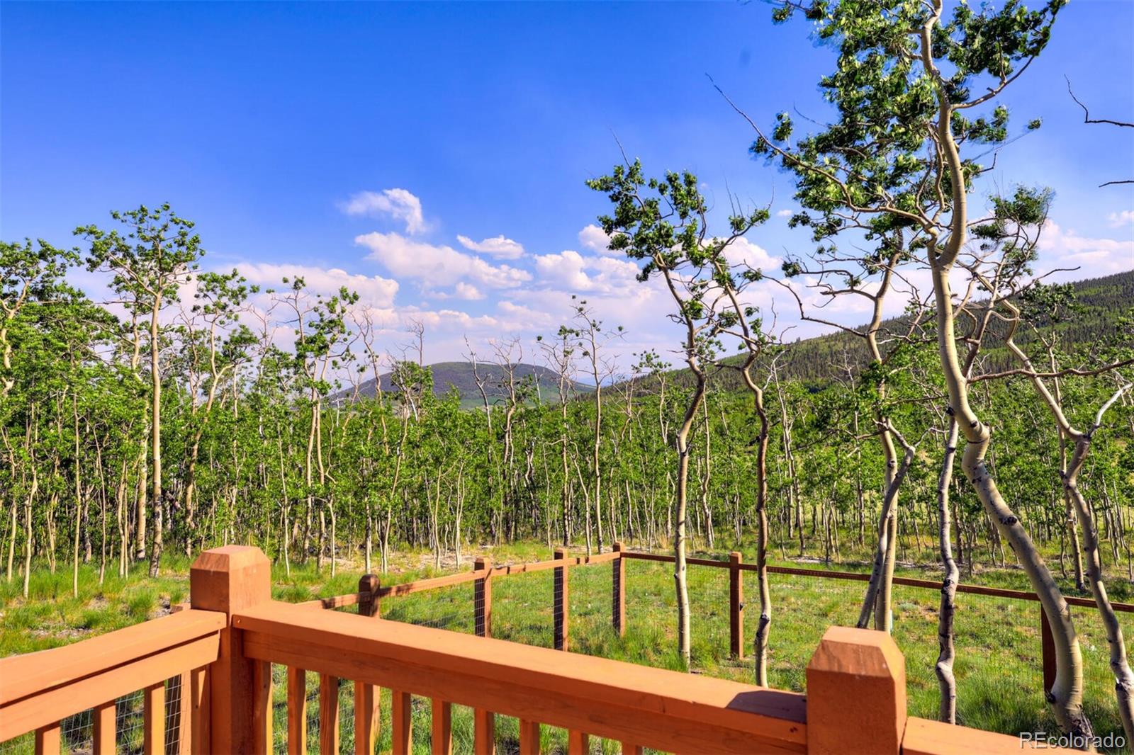 MLS Image #15 for 108  sheep ridge road,fairplay, Colorado