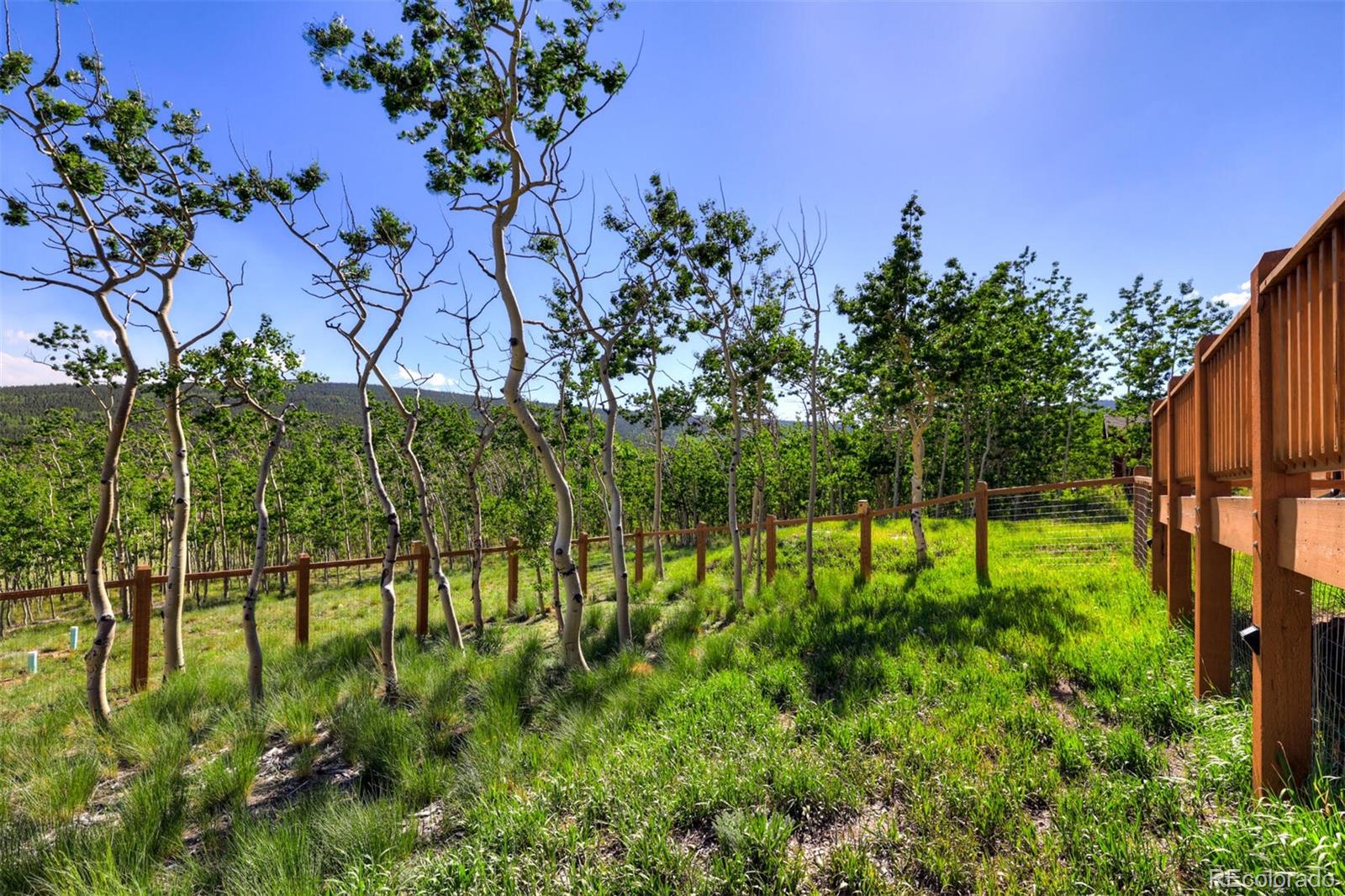 MLS Image #16 for 108  sheep ridge road,fairplay, Colorado