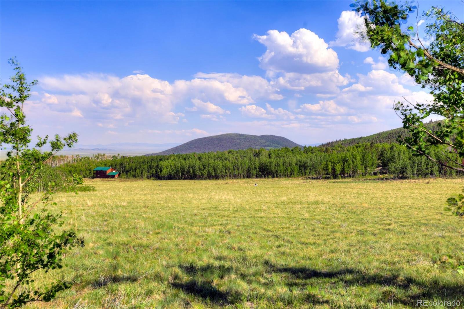 MLS Image #18 for 108  sheep ridge road,fairplay, Colorado