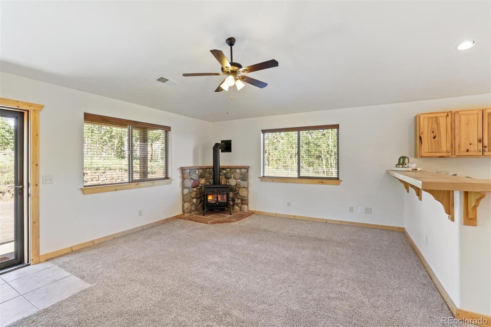 MLS Image #3 for 108  sheep ridge road,fairplay, Colorado