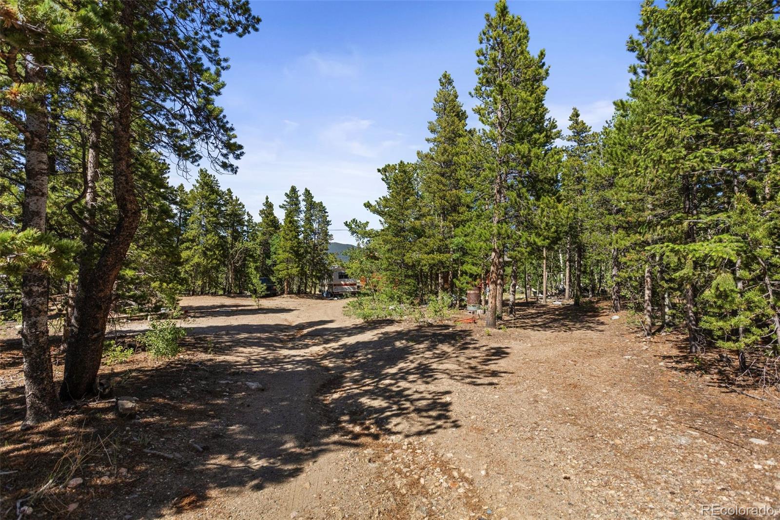 MLS Image #12 for 2336  bald mountain road,central city, Colorado