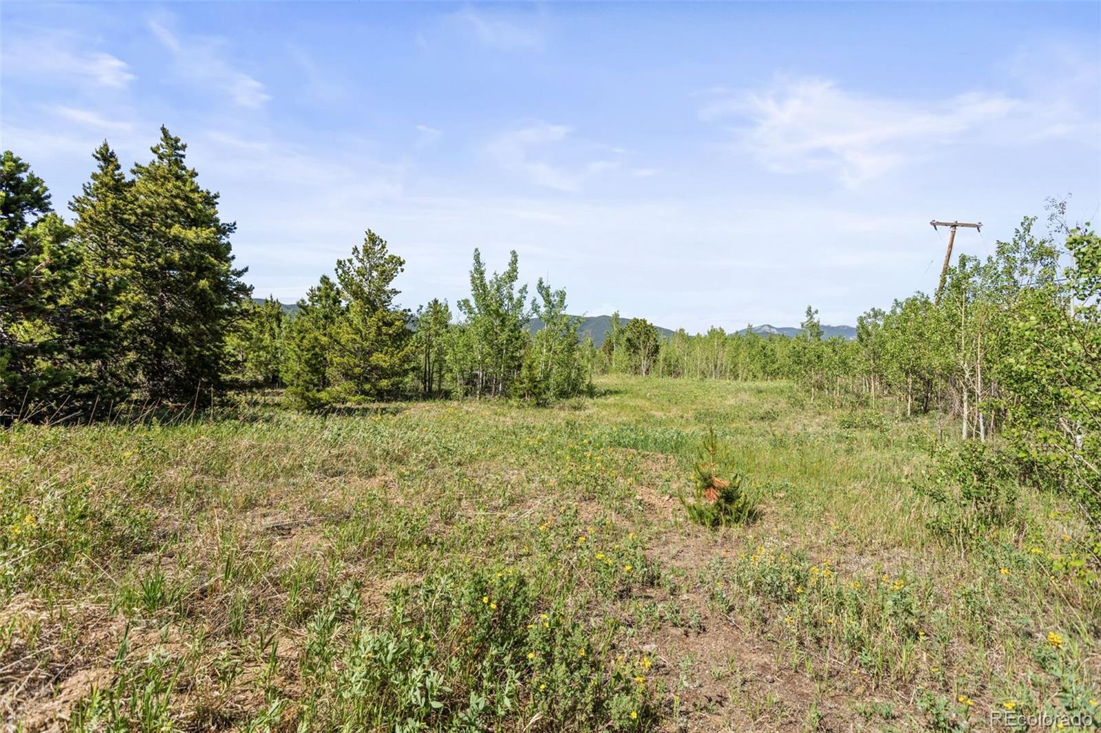 MLS Image #18 for 2336  bald mountain road,central city, Colorado