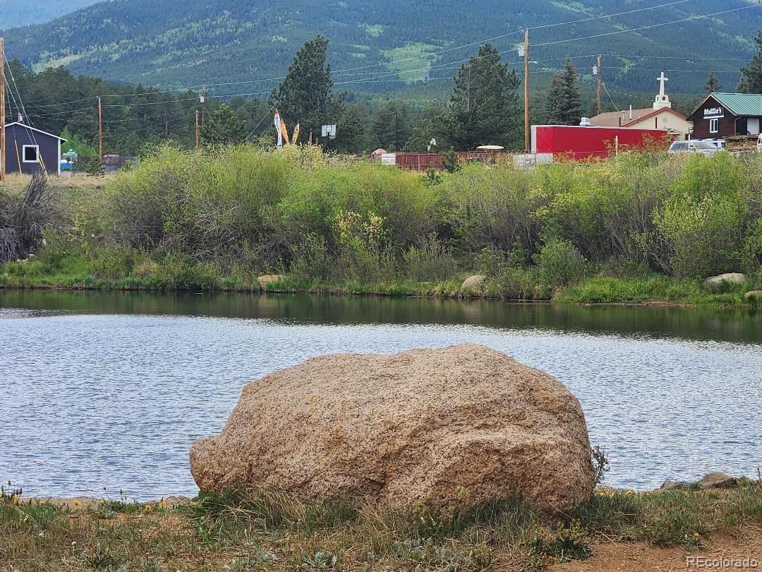 MLS Image #31 for 114  appleby street,bailey, Colorado