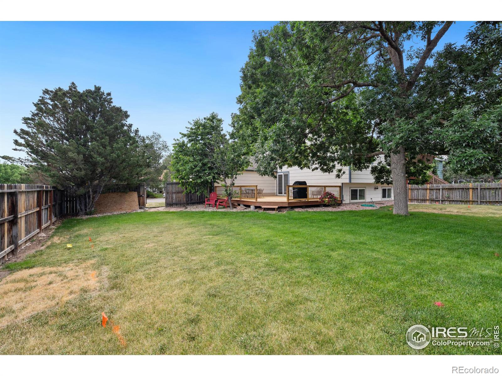 MLS Image #23 for 4201  goldeneye drive,fort collins, Colorado