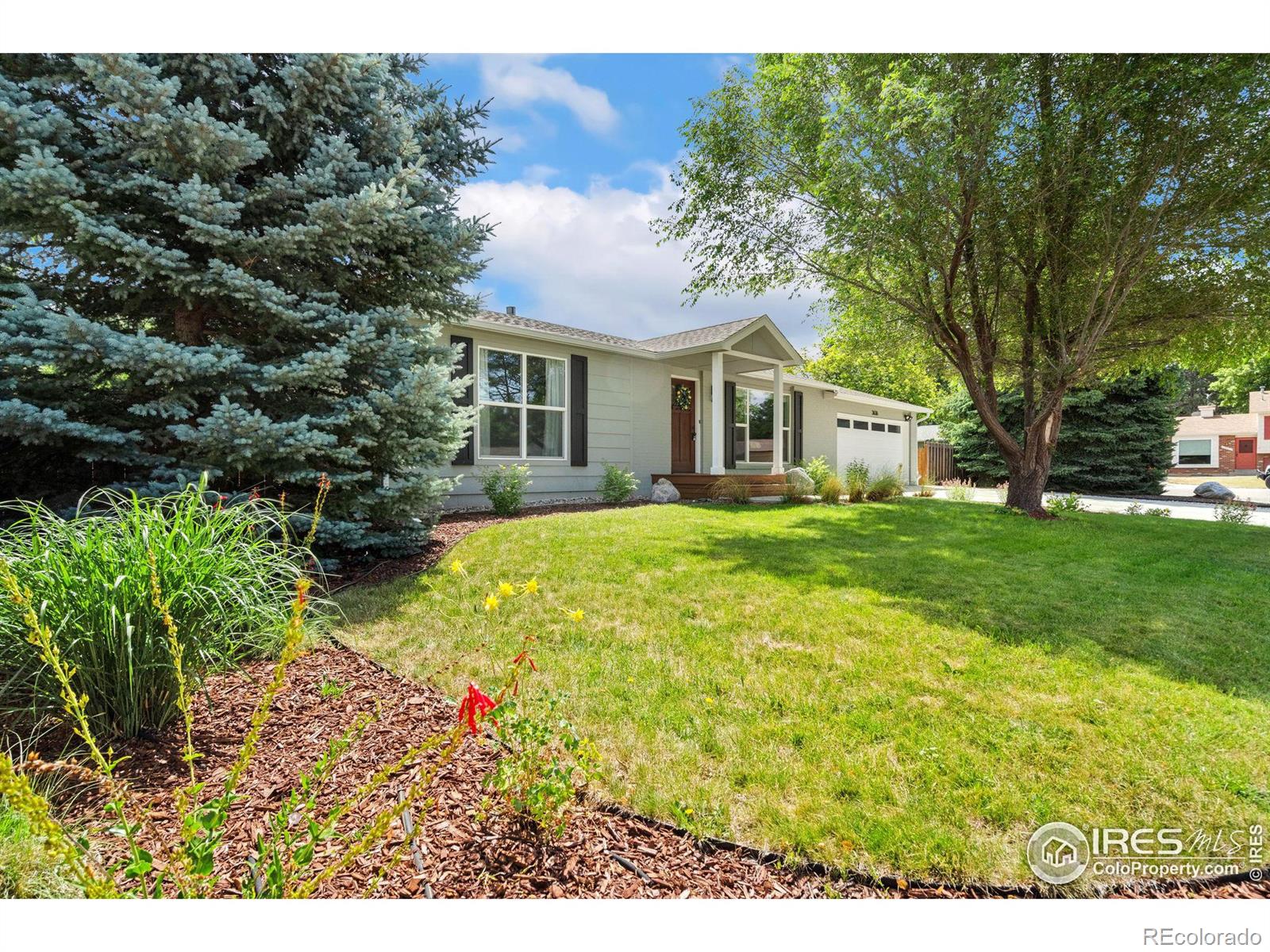 MLS Image #3 for 3636  muley street,fort collins, Colorado