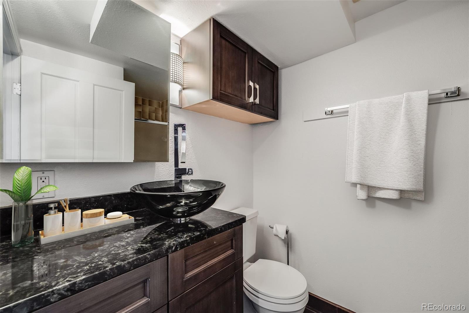 MLS Image #11 for 108 w byers place,denver, Colorado