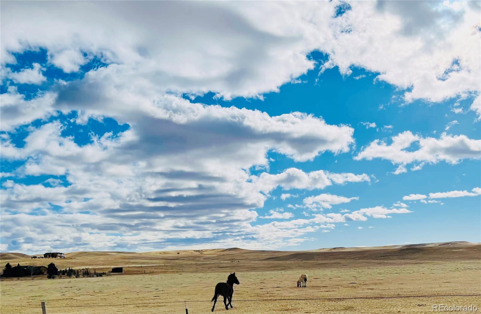 MLS Image #39 for 6611  ranchland lane,carr, Colorado