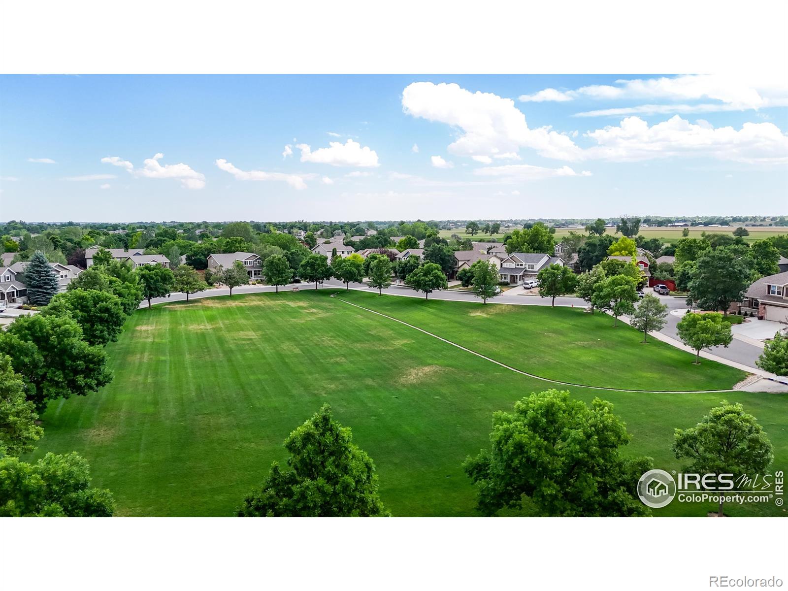 MLS Image #13 for 1565  bengal avenue,loveland, Colorado