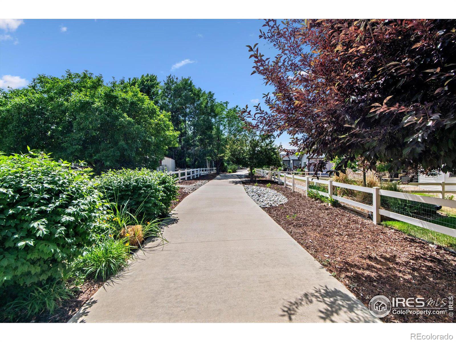 MLS Image #33 for 6740  sage avenue,firestone, Colorado