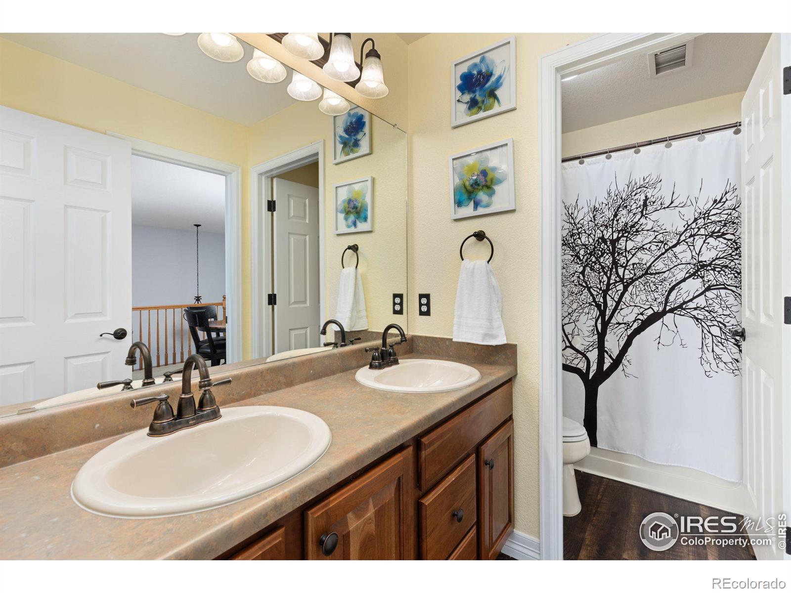 MLS Image #22 for 5324  stoneybrook drive,broomfield, Colorado