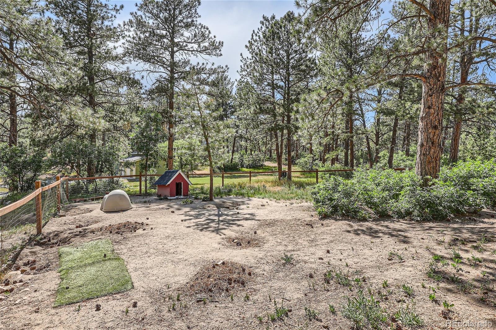 MLS Image #42 for 8960  village pines circle,franktown, Colorado