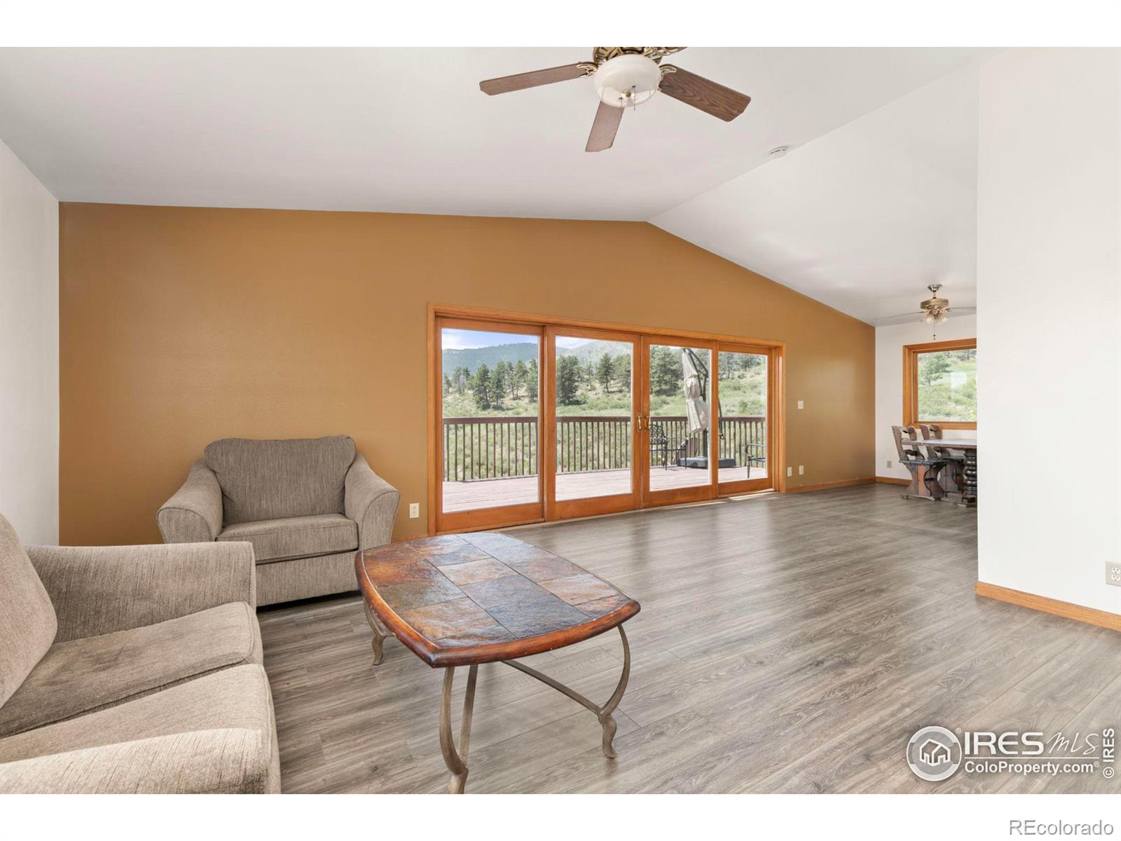 MLS Image #17 for 1011  santanka trail,bellvue, Colorado