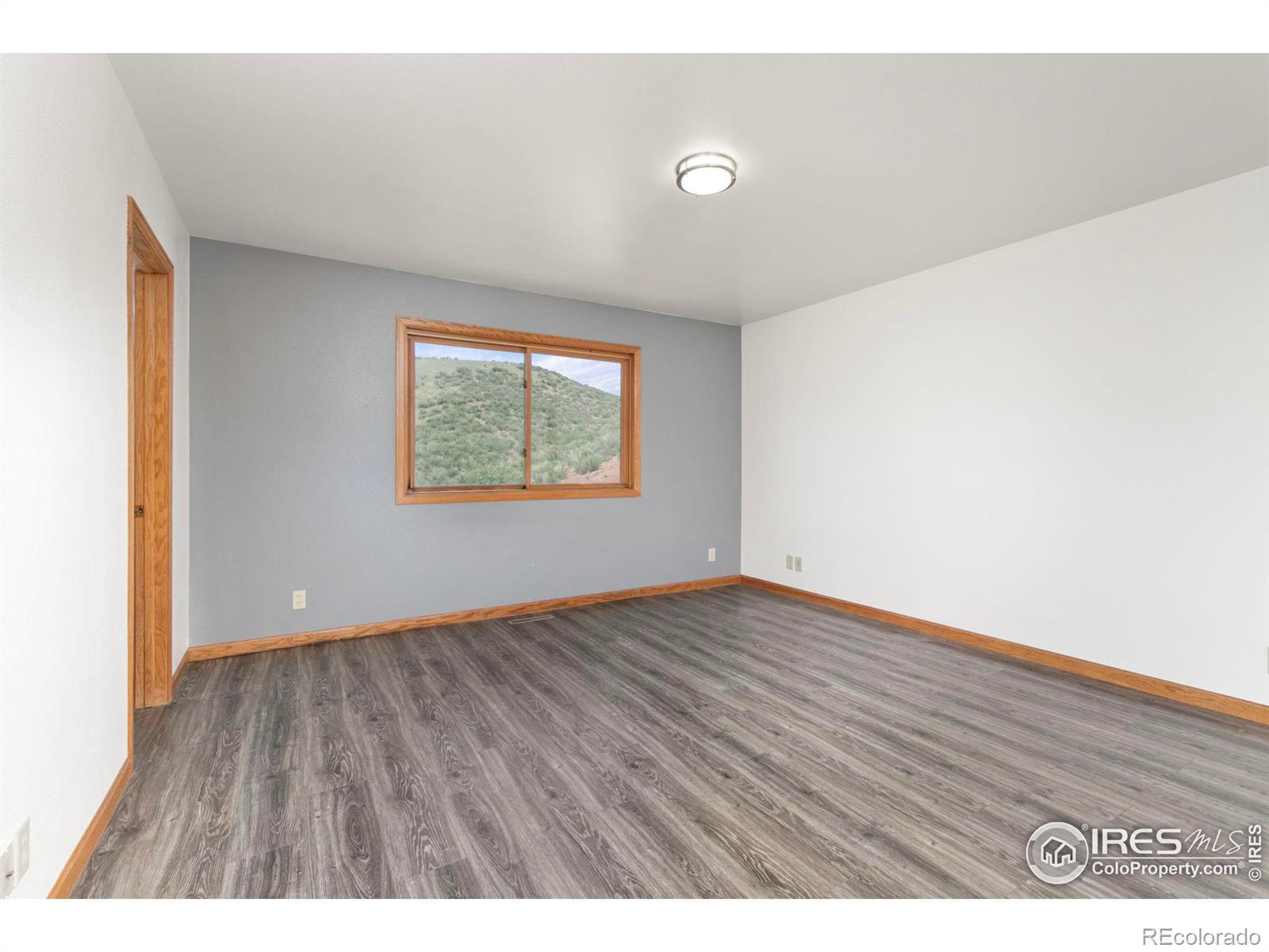 MLS Image #19 for 1011  santanka trail,bellvue, Colorado