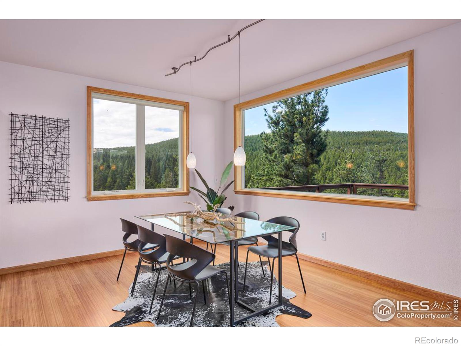 MLS Image #10 for 54  doe trail,nederland, Colorado
