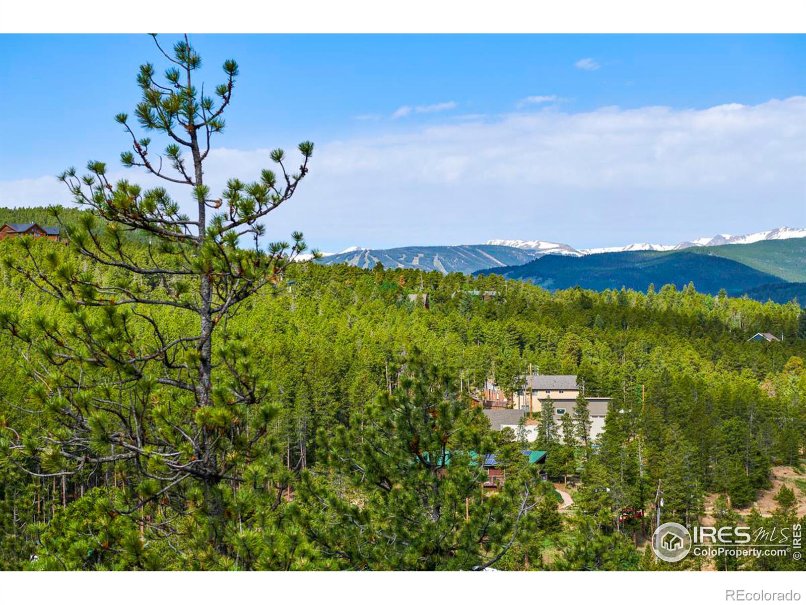 MLS Image #30 for 54  doe trail,nederland, Colorado