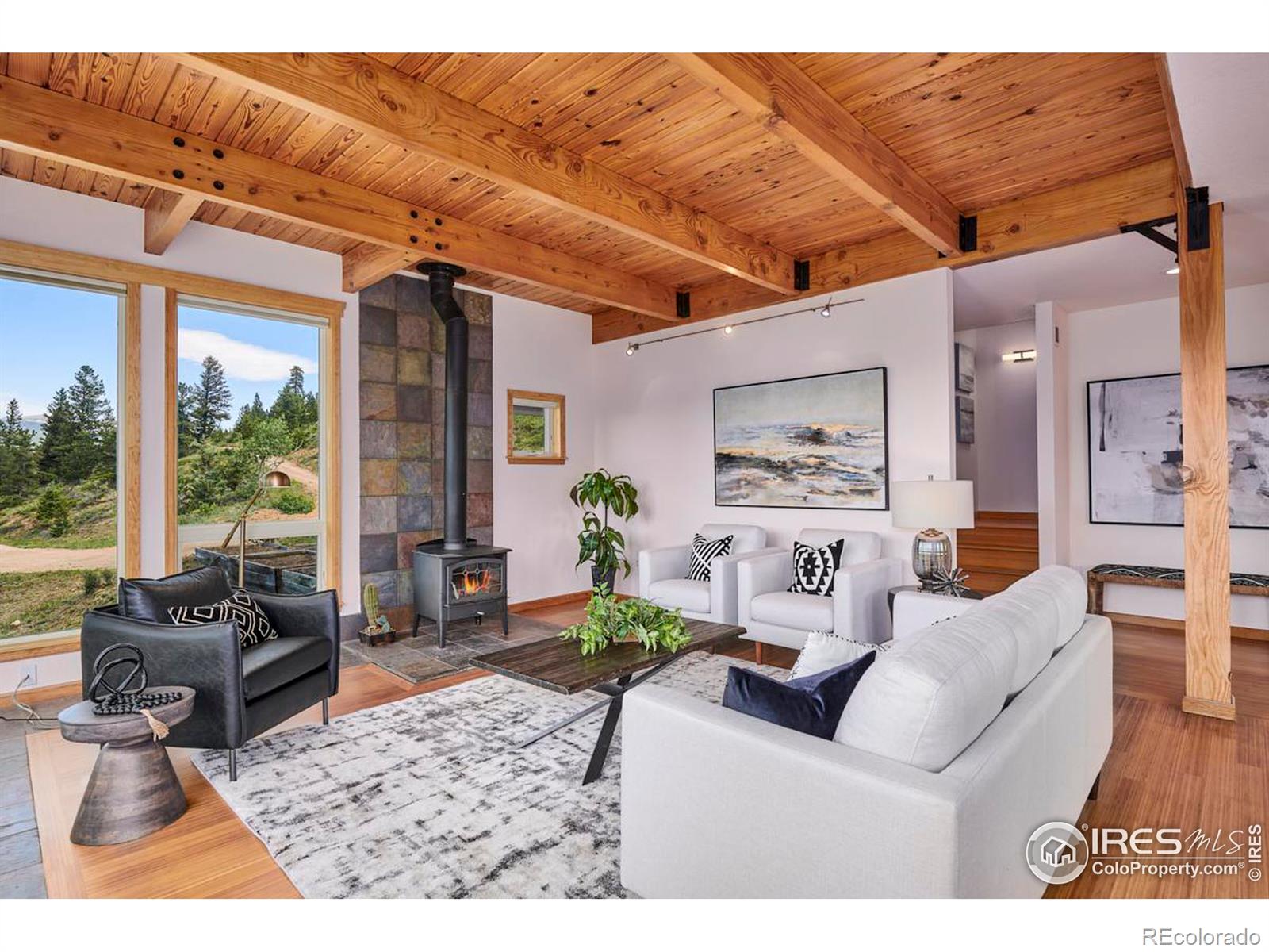 MLS Image #4 for 54  doe trail,nederland, Colorado