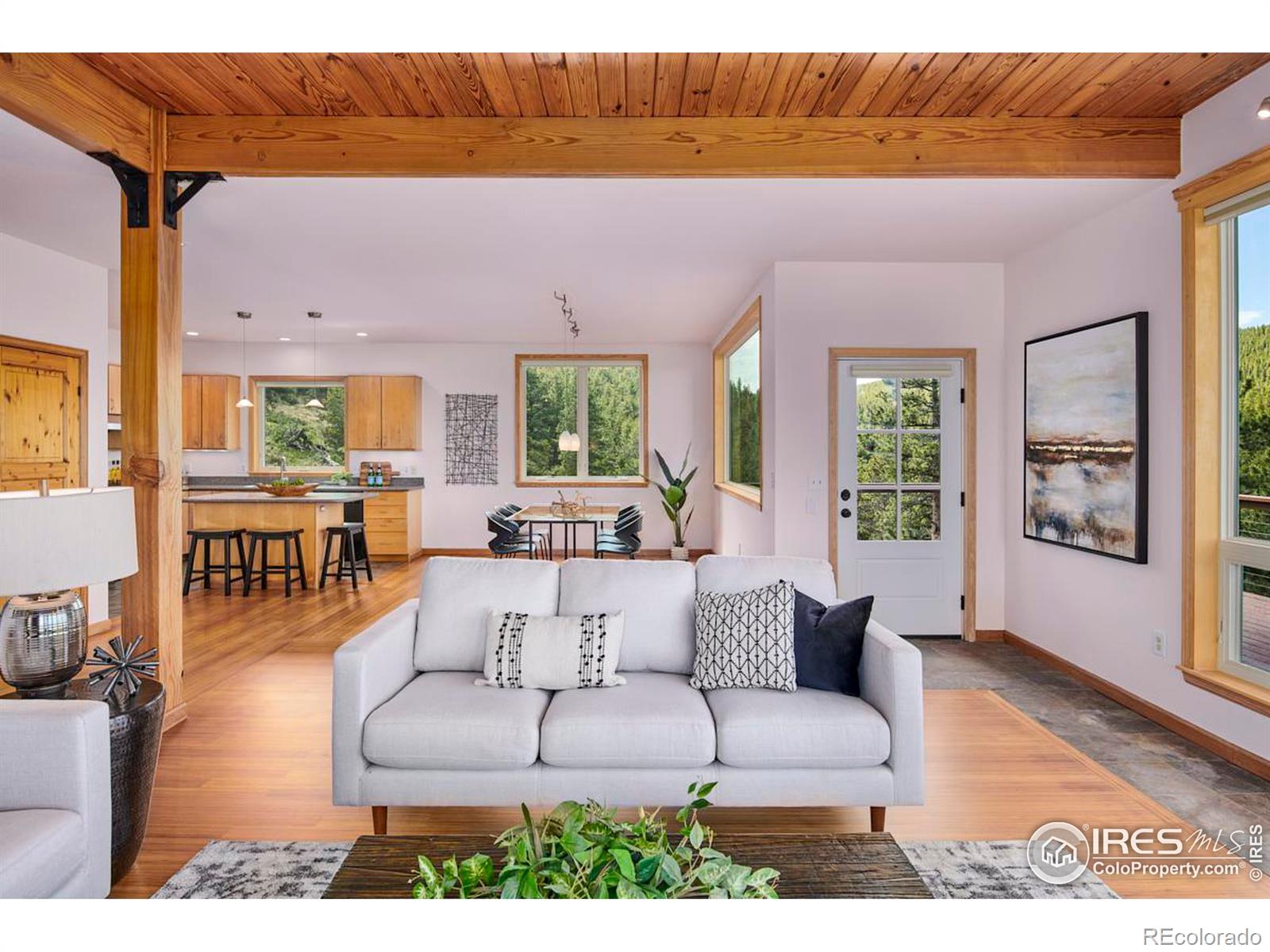 MLS Image #6 for 54  doe trail,nederland, Colorado