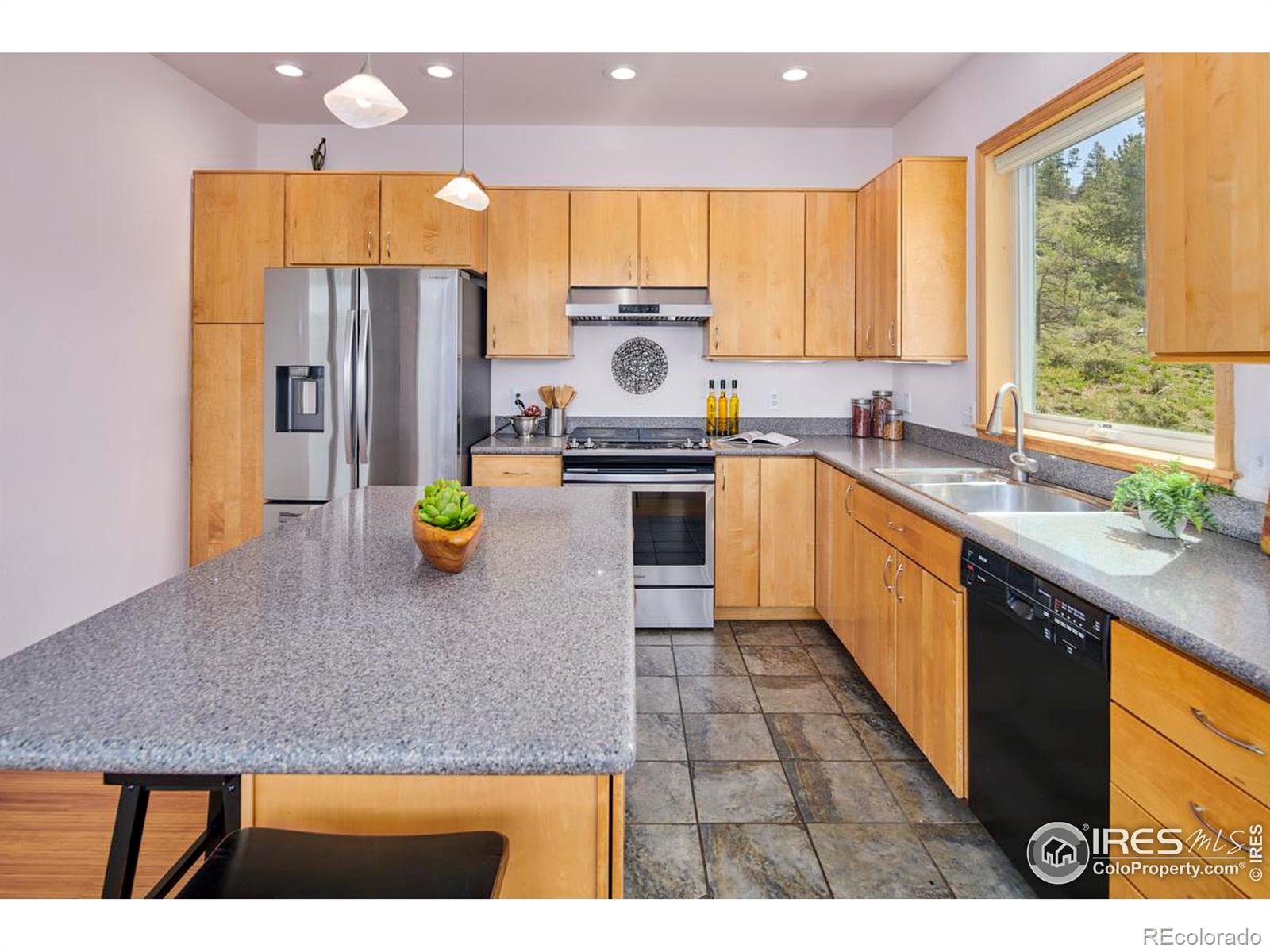 MLS Image #8 for 54  doe trail,nederland, Colorado
