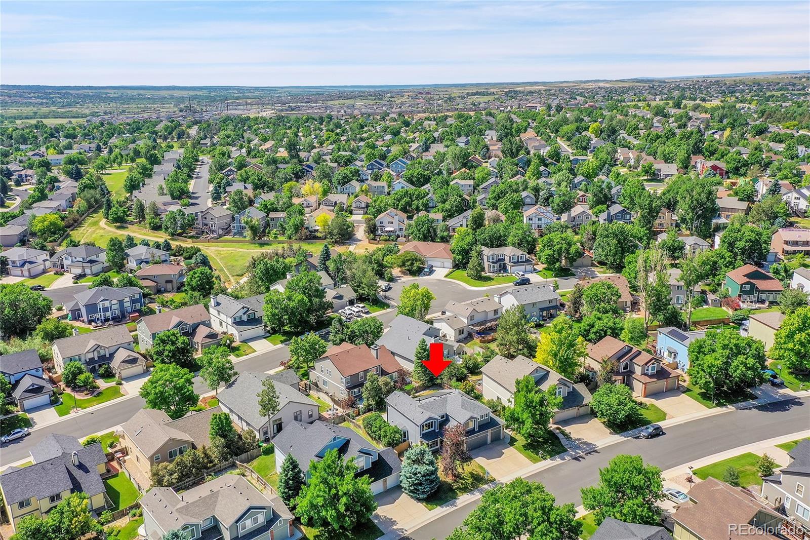 MLS Image #38 for 16928  molina place,parker, Colorado