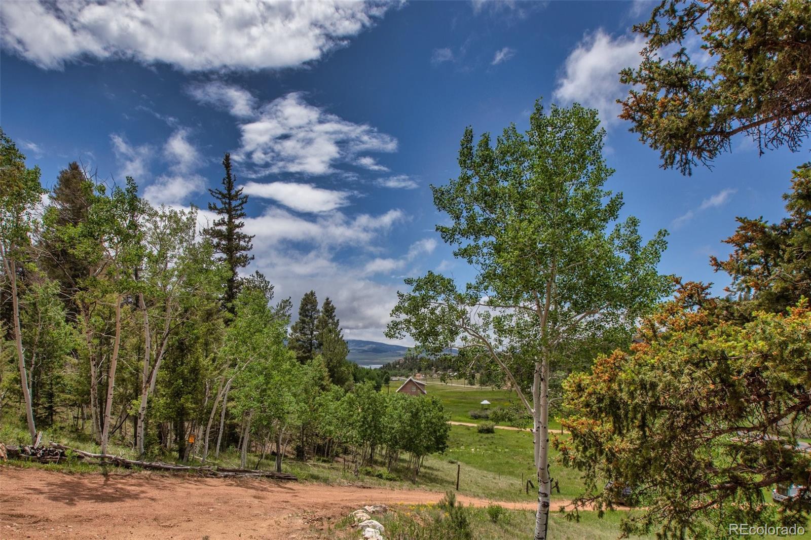 MLS Image #3 for 7042  county road 92 ,lake george, Colorado