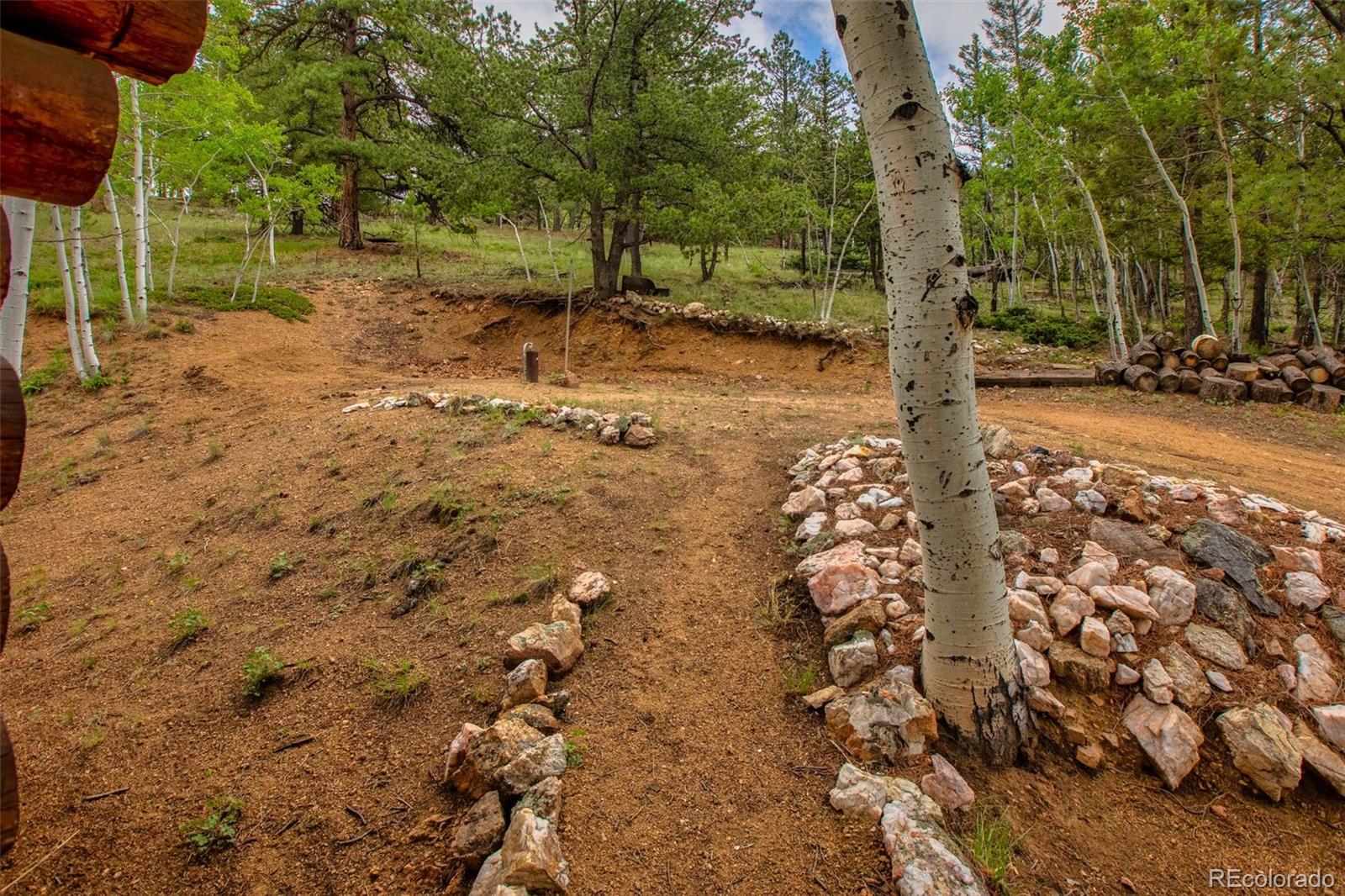 MLS Image #32 for 7042  county road 92 ,lake george, Colorado