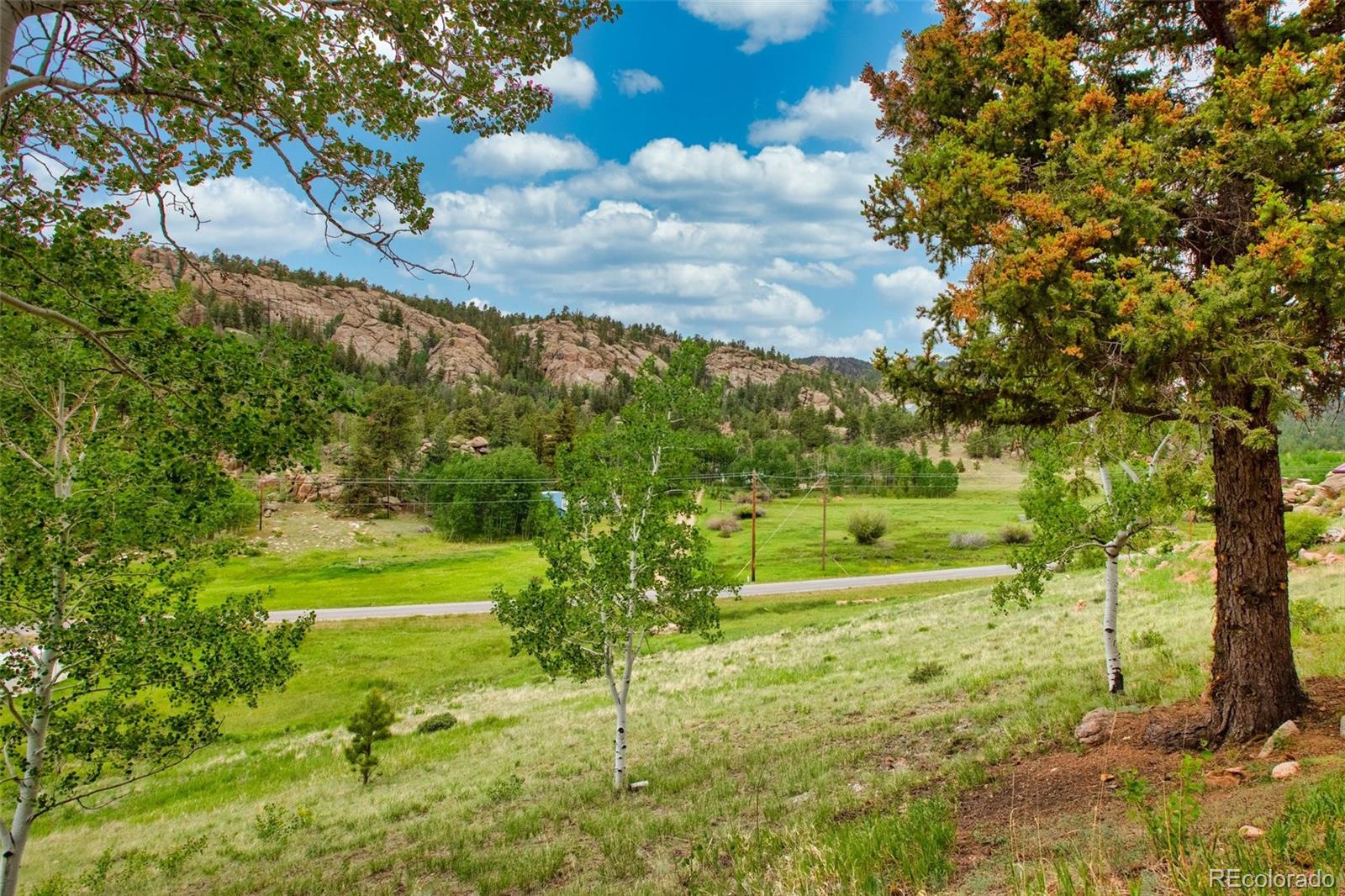 MLS Image #4 for 7042  county road 92 ,lake george, Colorado