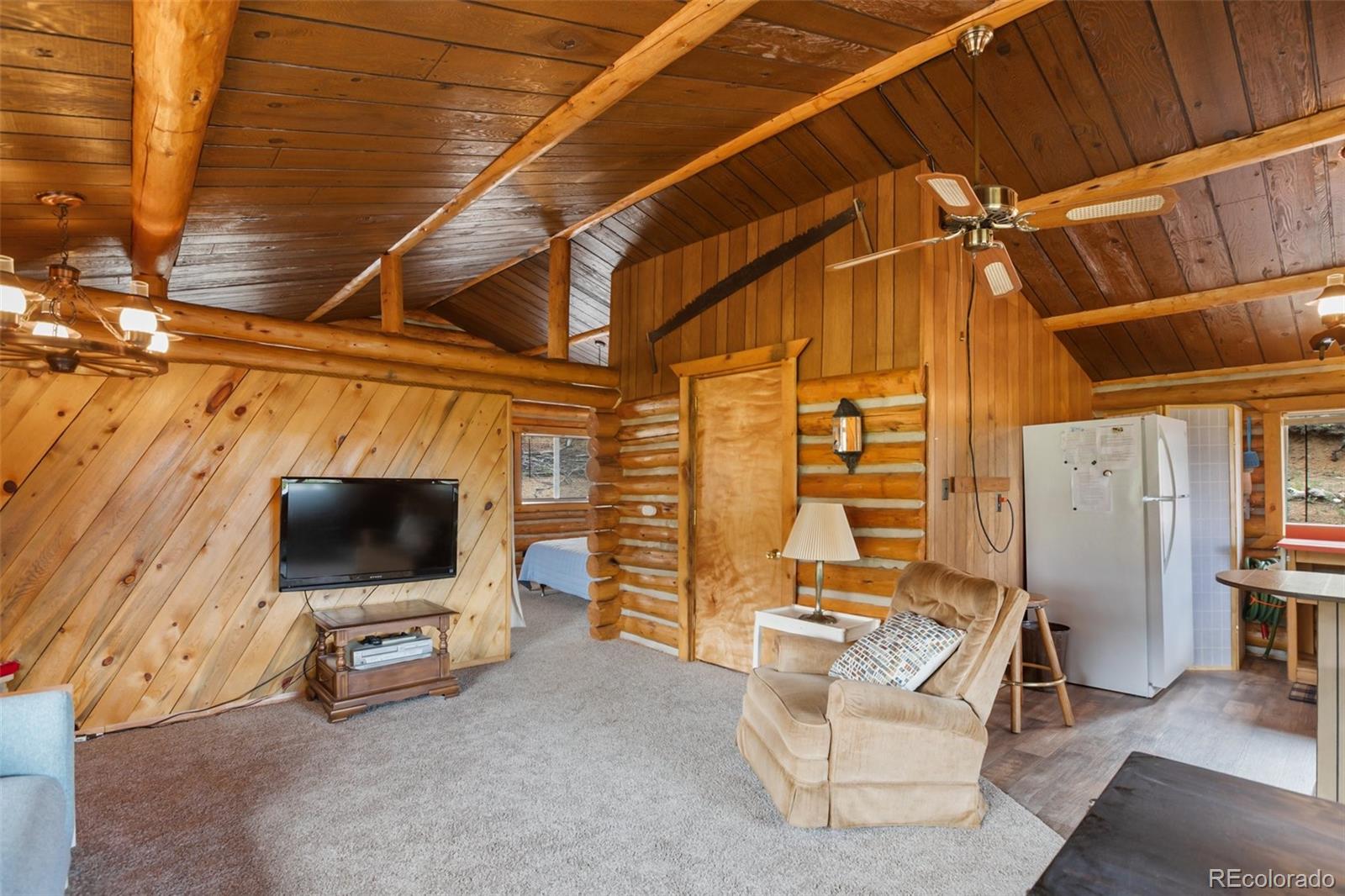 MLS Image #7 for 7042  county road 92 ,lake george, Colorado