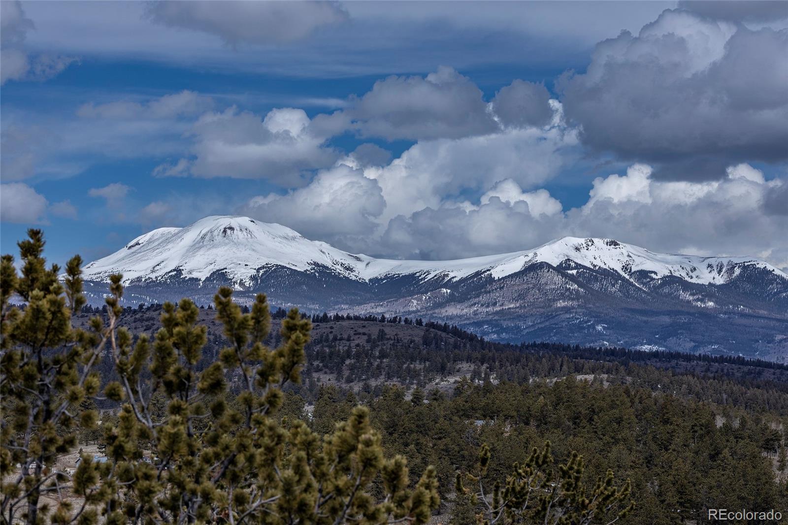 MLS Image #2 for 3900  singletree road,hartsel, Colorado