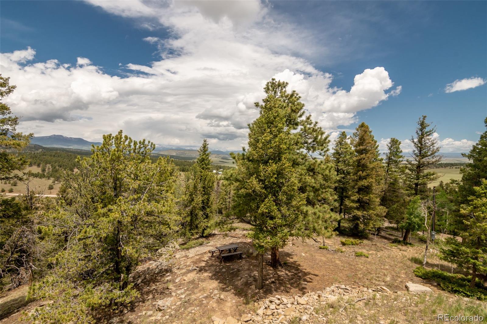 MLS Image #42 for 3900  singletree road,hartsel, Colorado