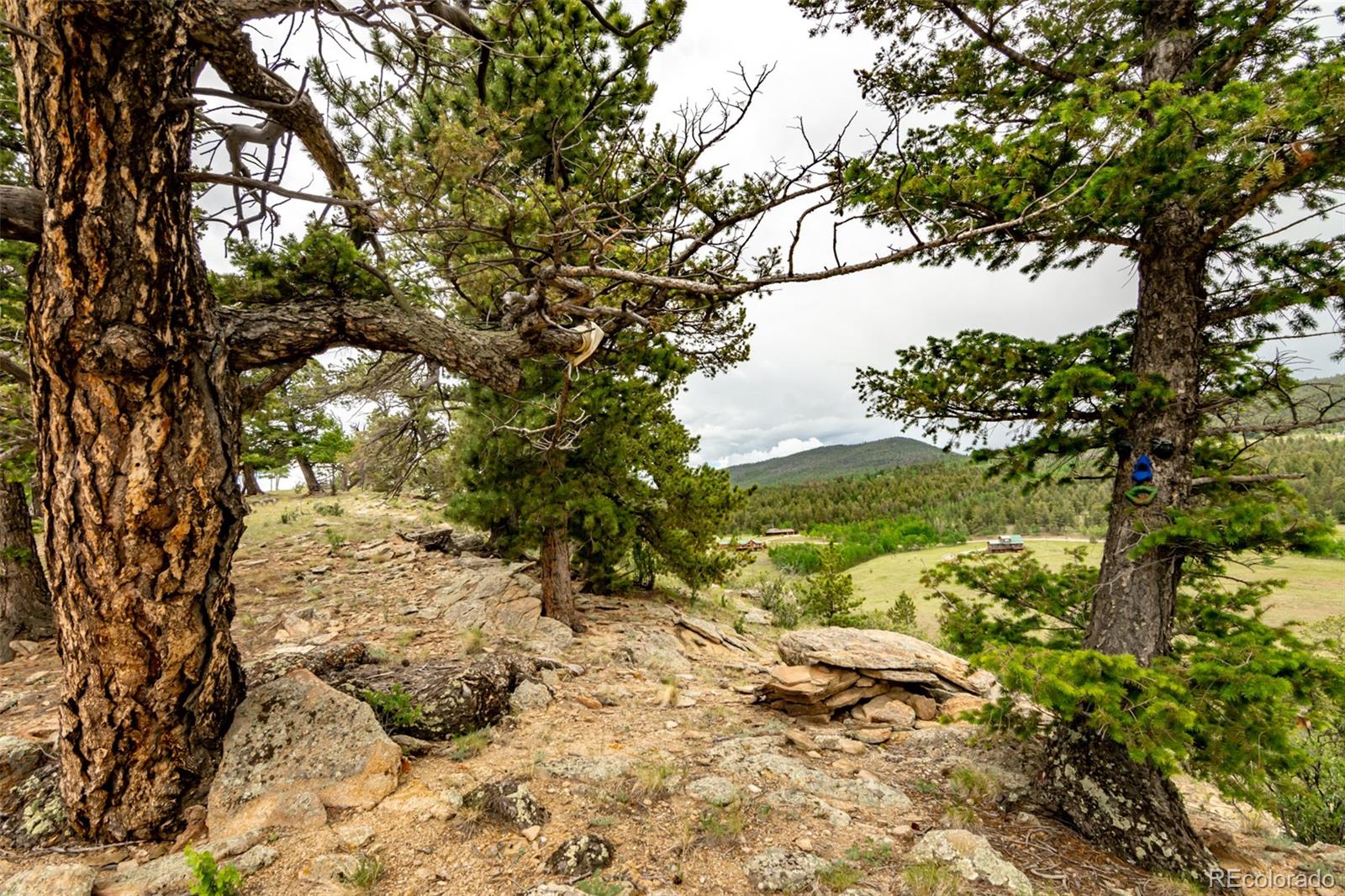 MLS Image #44 for 3900  singletree road,hartsel, Colorado